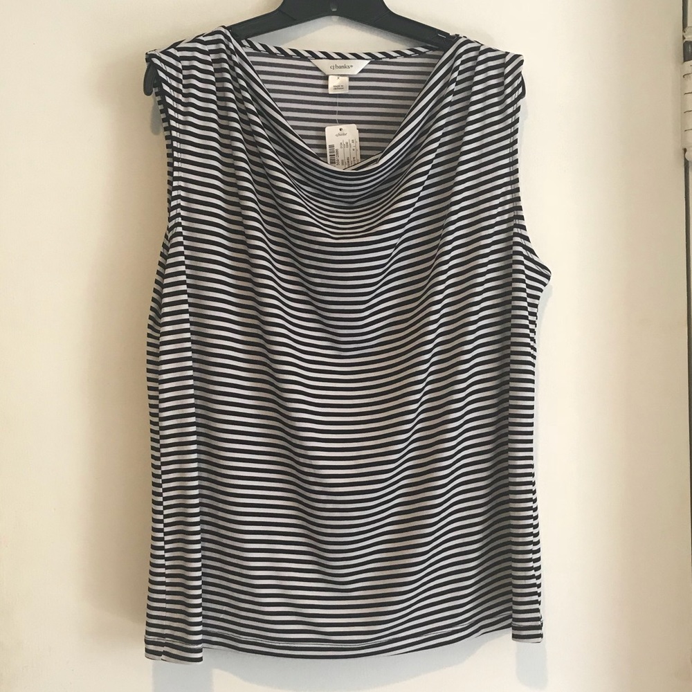 NWT CJ Banks Top